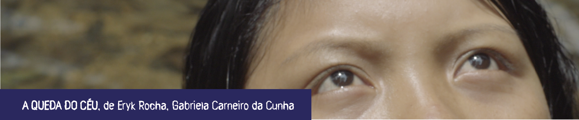 banners site-05
